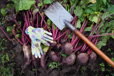 Similar image 22152676