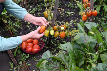 Similar image 22152677