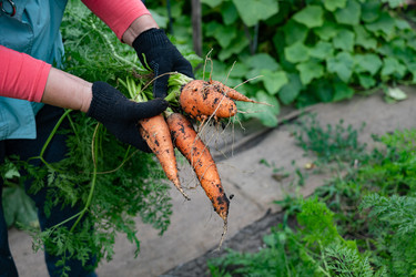 Similar image 22152683