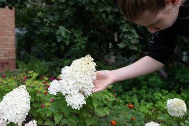 Similar image 22152684