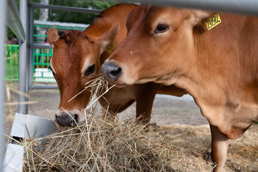 Similar image 22152685