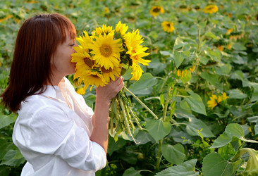 Similar image 22152689