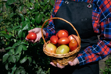 Similar image 22152701