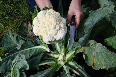 Similar image 22152702