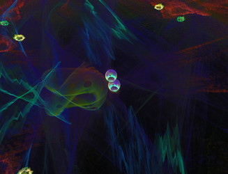 Similar image 22164541