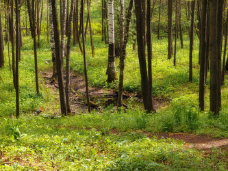 Similar image 22148105