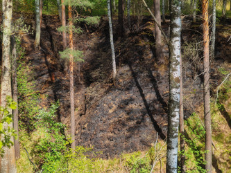 Similar image 22148106