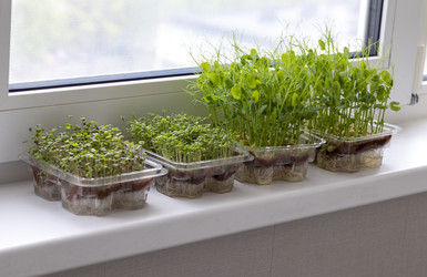 Similar image 22148930