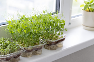 Similar image 22148931