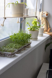 Similar image 22148932