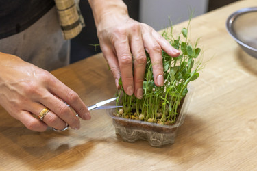 Similar image 22148934