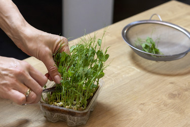 Similar image 22148936