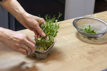 Similar image 22148937