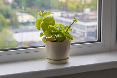 Similar image 22148942