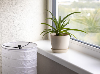 Similar image 22148943