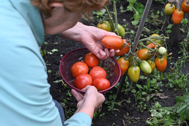 Similar image 22152705