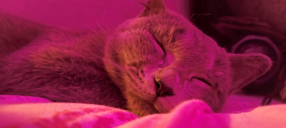 Similar image 22148669