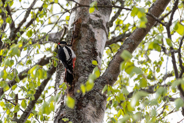 Similar image 22149238