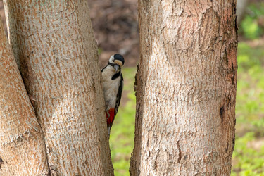 Similar image 22149239