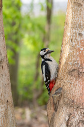 Similar image 22149240