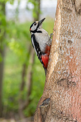 Similar image 22149241