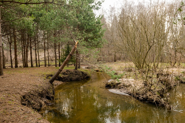 Similar image 22151701