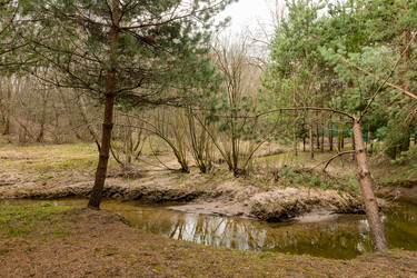 Similar image 22151702