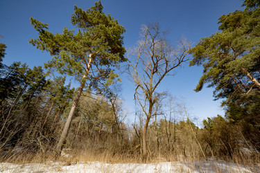 Similar image 22165542