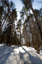 Similar image 22165543