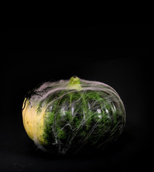 Similar image 22149940