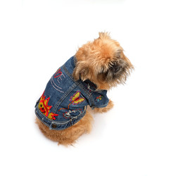 Similar image 22149952