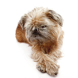 Similar image 22150347