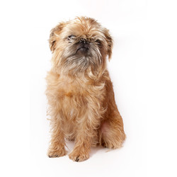 Similar image 22150349