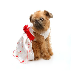 Similar image 22150352