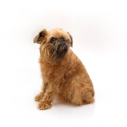 Similar image 22150353