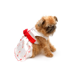 Similar image 22150355