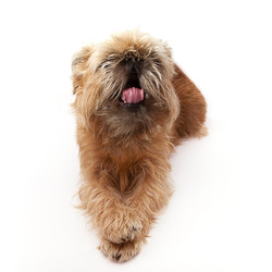 Similar image 22150357