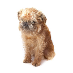 Similar image 22150358