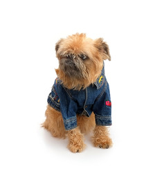 Similar image 22149955