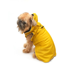 Similar image 22149957