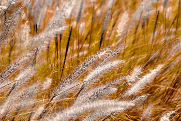 Similar image 22148949