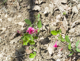 Similar image 22148674