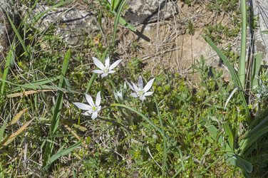 Similar image 22148675