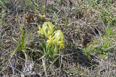 Similar image 22148676