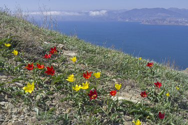 Similar image 22148678