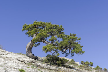 Similar image 22148679