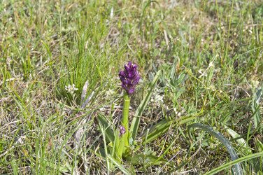 Similar image 22148680