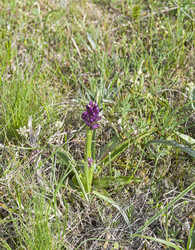 Similar image 22148681