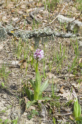 Similar image 22148682