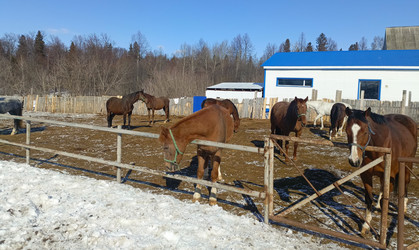 Similar image 22148951